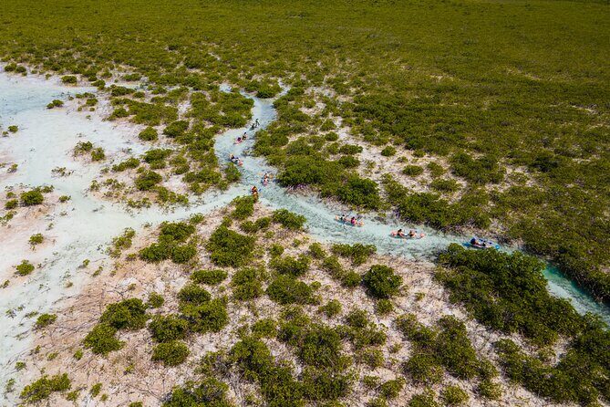 2 Hours Clear Kayaking Activity on Mangrove Cay - Setting Off From Leeward: Where You Meet and What Starts the Fun
