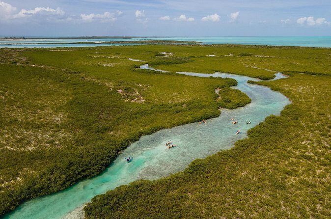 2 Hours Clear Kayaking Activity on Mangrove Cay - Guide Stories That Actually Change What You See