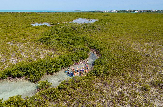 2 Hours Clear Kayaking Activity on Mangrove Cay - Getting There and Getting Your Money’s Worth (Taxi, Tips, and Timing)