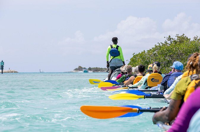 2 Hours Clear Kayaking Activity on Mangrove Cay - Who This Mangrove Cay Kayak Trip Fits Best