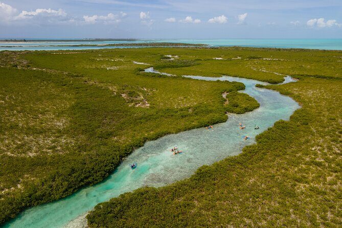 2 Hours Clear Kayaking Activity on Mangrove Cay - The 2-Hour Paddle: What the Time Feels Like on the Water