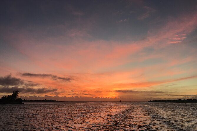 3 hour Glow Worm Sunset Cruise from Providenciales - The glow worm moment: what you’re actually seeing in the water