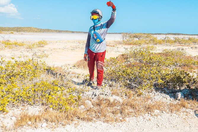 3 Hours ATV Adventure in Providenciales - Frenchman’s Creek and Pigeon Pond Nature Reserve: calm scenery with wildlife potential