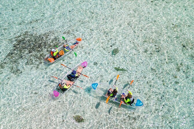3HR Clear Kayak Mangrove and iguana island Tour in Leeward - Key things to know before you go