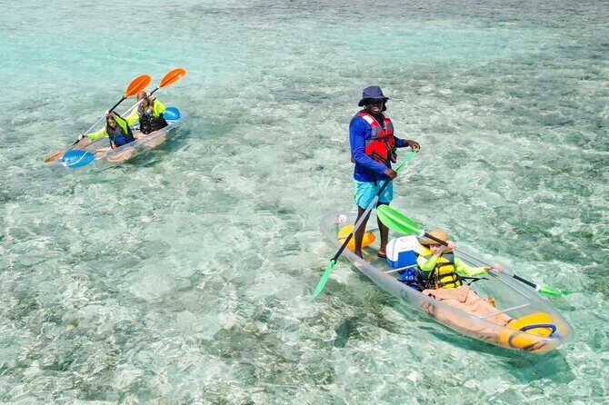 3HR Clear Kayak Mangrove and iguana island Tour in Leeward - Clear Kayaking in Providenciales: What Makes This Trip Worth It