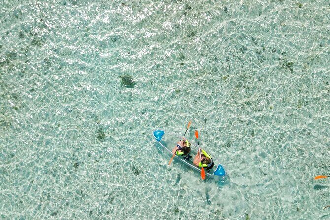 3HR Clear Kayak Mangrove and iguana island Tour in Leeward - Safety and Comfort: How It Feels in Real Conditions