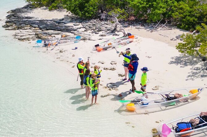 3HR Clear Kayak Mangrove and iguana island Tour in Leeward - Little Water Cay: Rock Iguanas Up Close, Without Going Too Far