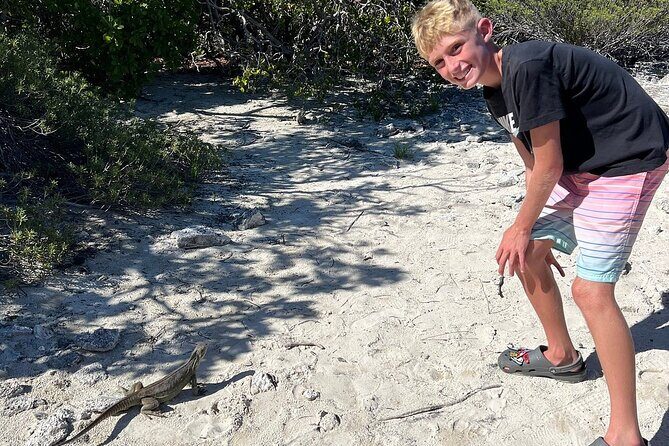 3hr Clear Kayak Tour of Mangroves, Marine Life and Iguanas - Pickup, Meeting Point, and Mobile Ticket Reality Check