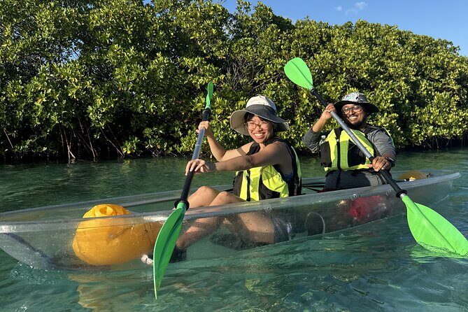 3hr Clear Kayak Tour of Mangroves, Marine Life and Iguanas - Who This Tour Is Best For (and Who Might Want Something Else)