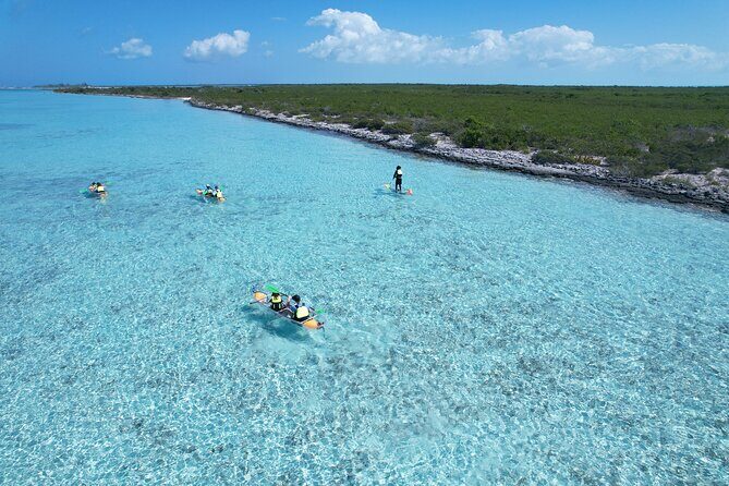 3hr Clear Kayak Tour of Mangroves, Marine Life and Iguanas - How Long It Takes and What Pace Feels Like