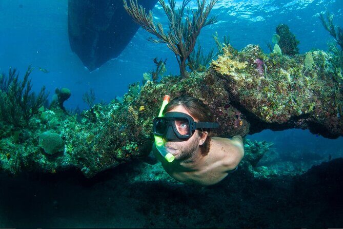3HR Emerald reef snorkeling, iguana island and shipwreck tour - Key highlights you’ll care about