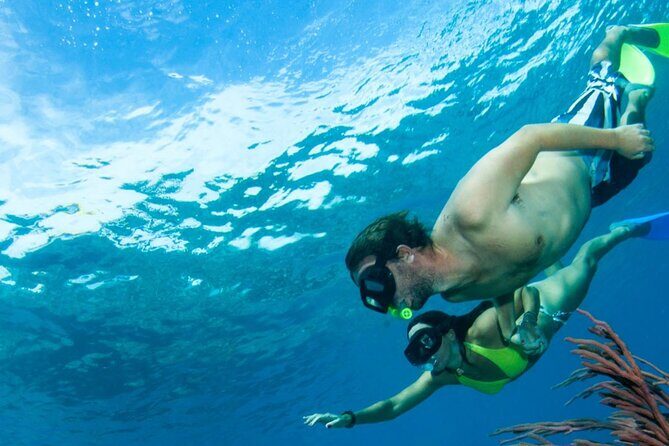 3HR Emerald reef snorkeling, iguana island and shipwreck tour - Timing, food on board, and what “3 hours” feels like
