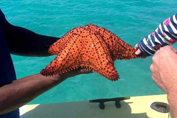 3hr Seaside Scavenger hunt - Should you book the Providenciales Seaside Scavenger Hunt?
