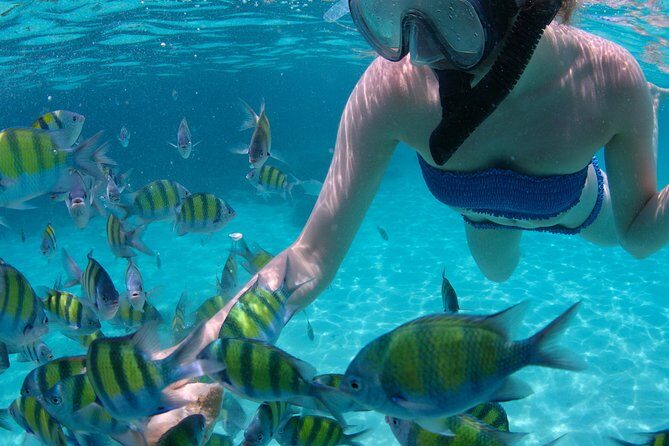 4-Hour Catamaran Sail and Snorkel Tour from Grace Bay - Half Moon Bay and Little Water Cay: How the Nature Walk Works