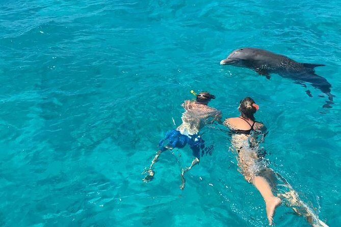 4-Hour Catamaran Sail and Snorkel Tour from Grace Bay - Lunch, Rum Punch, and Dolphin-Watching on the Sail Back