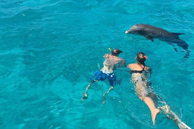 4 Hour Private Catamaran Sail and Snorkel from Grace Bay Beach, Providenciales - Little Water Cay alternative: National Trust setting