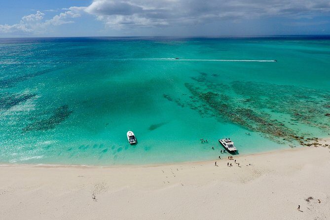 4hour Group Half Day Snorkeling Excursion in Grace Bay - Morning vs Afternoon Departures: Pick the Light That Fits