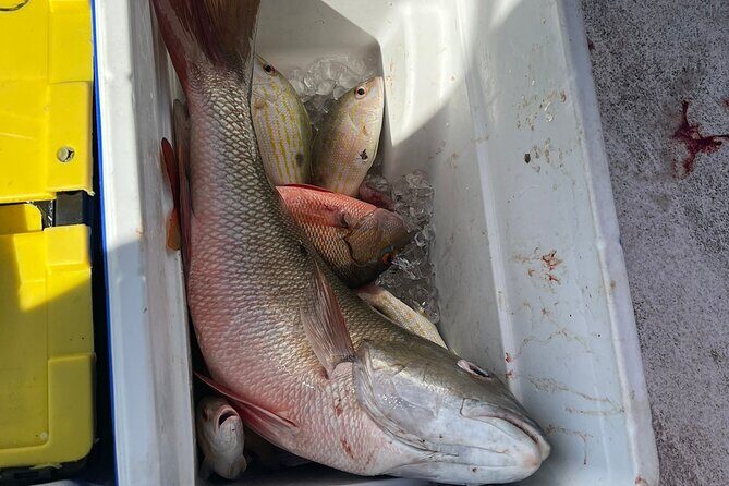 4HR-Halfday Private Fishing Tour in Gracebay - Onboard Comfort: Drinks, Snacks, and the Crew’s Energy