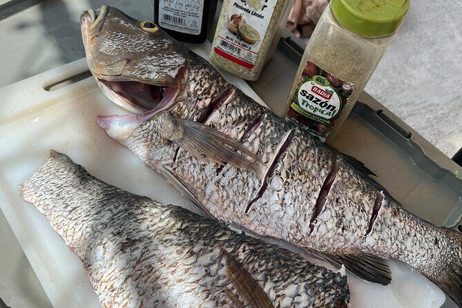 4HR-Halfday Private Fishing Tour in Gracebay - When Things Don’t Go Perfect: Weather and Mechanical Issues