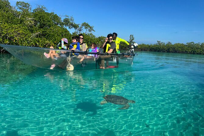6-Passenger Motorized Clear Kayak Mangrove Tour in Providenciales - Key highlights you’ll actually care about
