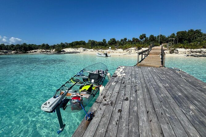 6-Passenger Motorized Clear Kayak Mangrove Tour in Providenciales - Price and value: $482 per group can be a good deal
