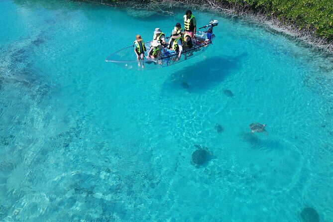 6-Passenger Motorized Clear Kayak Mangrove Tour in Providenciales - Who should book this clear kayak tour in Providenciales