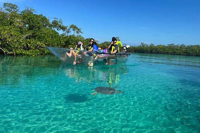 6-Passenger Motorized Clear Kayak Mangrove Tour in Providenciales - How to prepare so you enjoy every minute