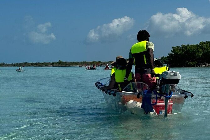6-Passenger Motorized Clear Kayak Mangrove Tour in Providenciales - Should you book Clear Wave Tours’ motorized clear kayak?