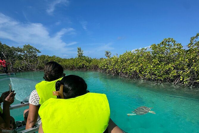 6-Passenger Motorized Clear Kayak Mangrove Tour in Providenciales - What you do before you splash off: briefing, life jackets, and photo time