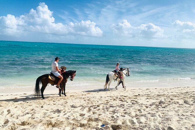 60-Minute Private Horseback Riding Experience in Turks and Caicos - Who Should Book This Horseback Experience (and Who Might Rethink It)