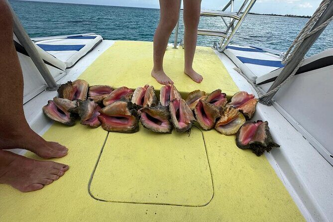 6HR-Provo Cays exploration with Lunch in Gracebay - Beach BBQ Lunch in Grace Bay: More Than a Token Meal