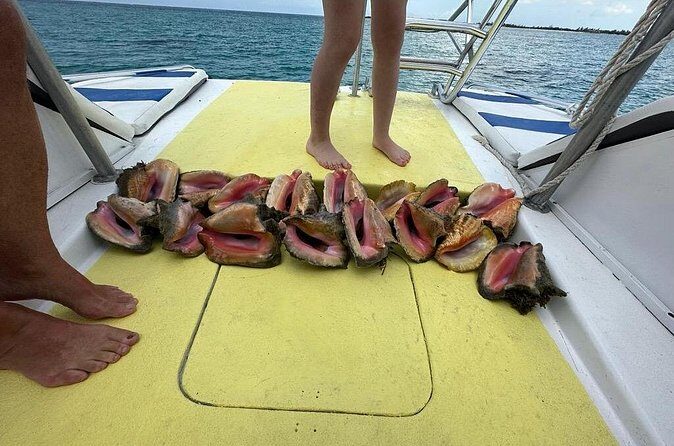 6HR-Provo Cays exploration with Lunch in Gracebay - Price and Value: Is $234.80 Worth It?