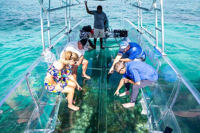 75 Minutes Clear Boat Tour in Caicos Island - Key highlights you’ll actually care about
