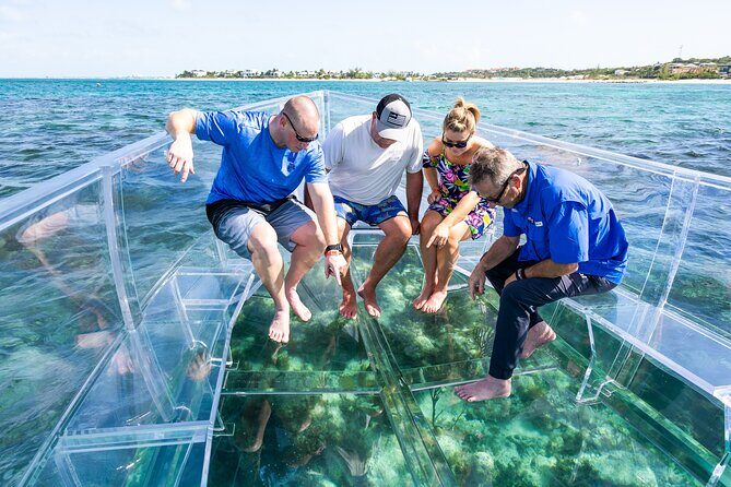 75 Minutes Clear Boat Tour in Caicos Island - A Clear-Boat Reef View That Feels Like Snorkeling, Without the Mess