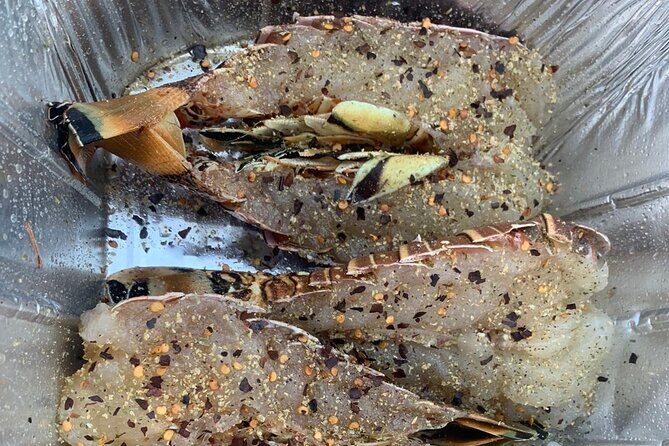 8HR Catch and Grill in Turks and Caicos Islands - Timing, Weather, and What Could Change Your Day
