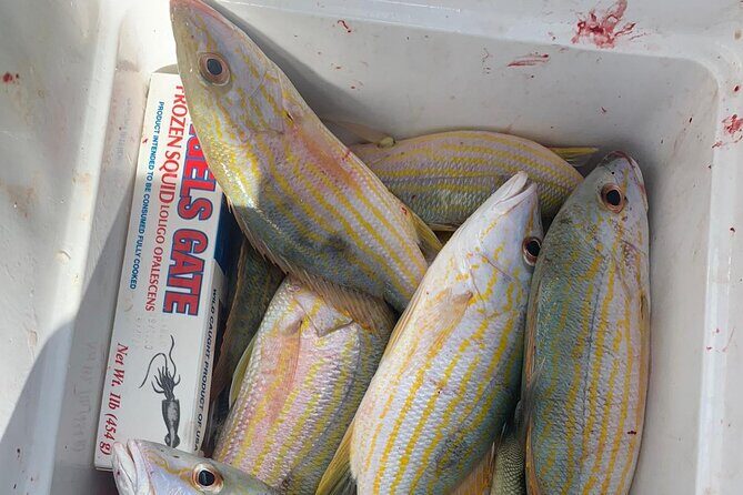 8HR Catch and Grill in Turks and Caicos Islands - Snorkeling Time and the La Famille Express Shipwreck Stop