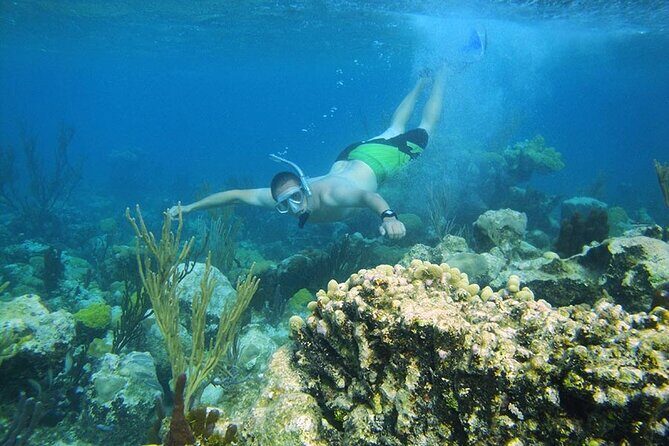 8HR Fullday Private Boat in Gracebay - Emerald Reef Snorkeling: Shallow Water With Real Marine Action