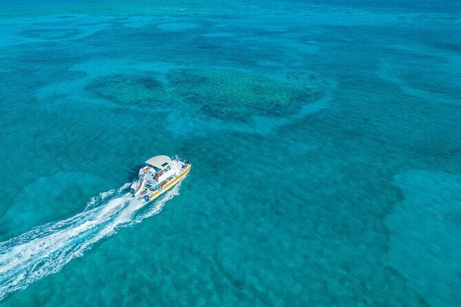 Afternoon Half Day Cruise from Providenciales with Snorkeling and Iguana Island - Key highlights you’ll actually care about