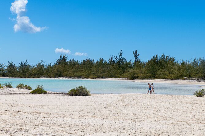 Afternoon Half Day Cruise from Providenciales with Snorkeling and Iguana Island - Iguana Island: wildlife, two coast views, and easy walking