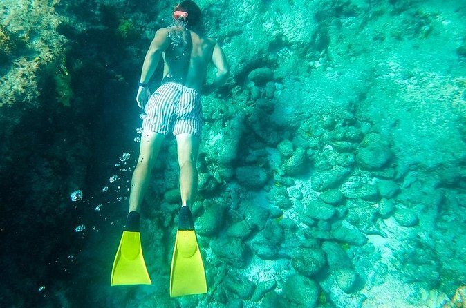 All Day Adventure with a Beach BBQ Feast from Providenciales - Price and logistics: what $225 buys for a full 7-hour day