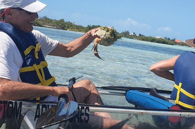 Clear Bottom Kayaks Mangrove Tour - Boat Tow, Jet Ski Tow, and the Paddle Reality Check