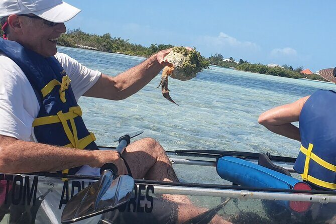 Clear Bottom Kayaks Mangrove Tour - Price and Value: Is $125 for a 2-Hour Kayak Mangrove Tour Worth It?