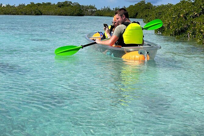 Clear Kayak Eco Tour Explore Mangroves and Meet the Turtles - Getting the best views: how to paddle and spot turtles faster