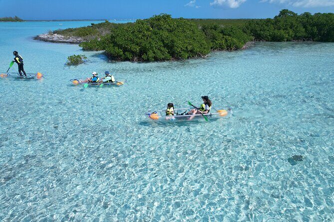 Clear Kayak Eco Tour Explore Mangroves and Meet the Turtles - The real deal on paddling effort (and the motorized alternative)