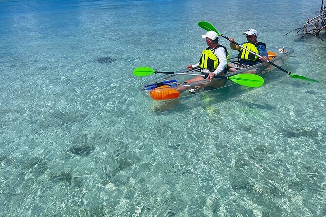 Clear Kayak Eco Tour Explore Mangroves and Meet the Turtles - Equipment, safety, and the small checks that matter