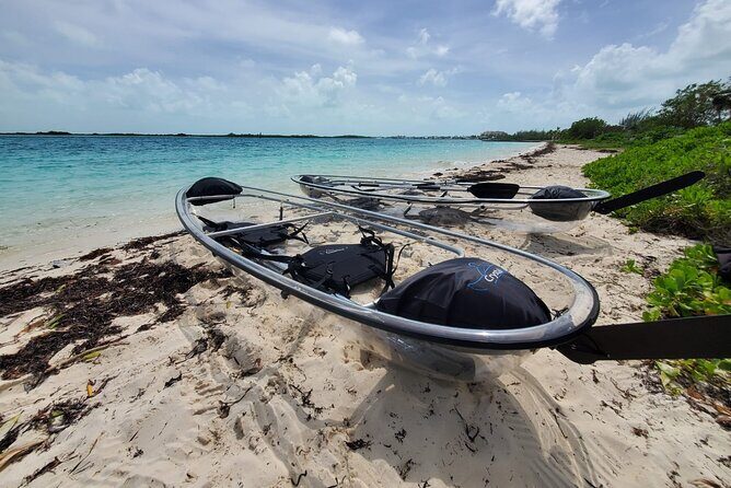 Clear Kayak Mangrove Eco Tour - Key things that make this tour worth your time