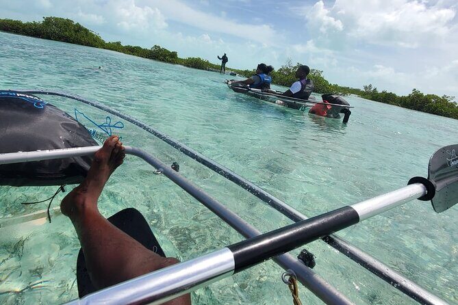 Clear Kayak Mangrove Eco Tour - Clear Kayak Mangroves in Providenciales: Why This Feels Different