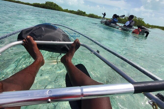 Clear Kayak Mangrove Eco Tour - Your Clear Kayak Setup and What the Guide Should Handle
