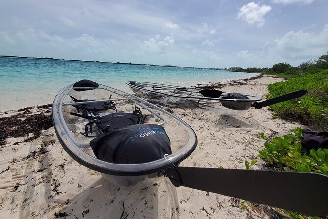 Clear Kayak Mangrove Eco Tour - Price and Value in Turks and Caicos: $240 Per Group, Not Per Person