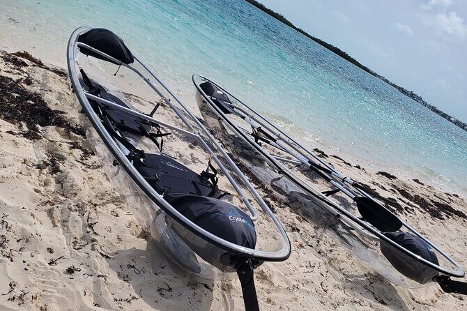 Clear Kayak Mangrove Eco Tour - Timing, Pickup, and Small Group Size: What to Expect Day-of